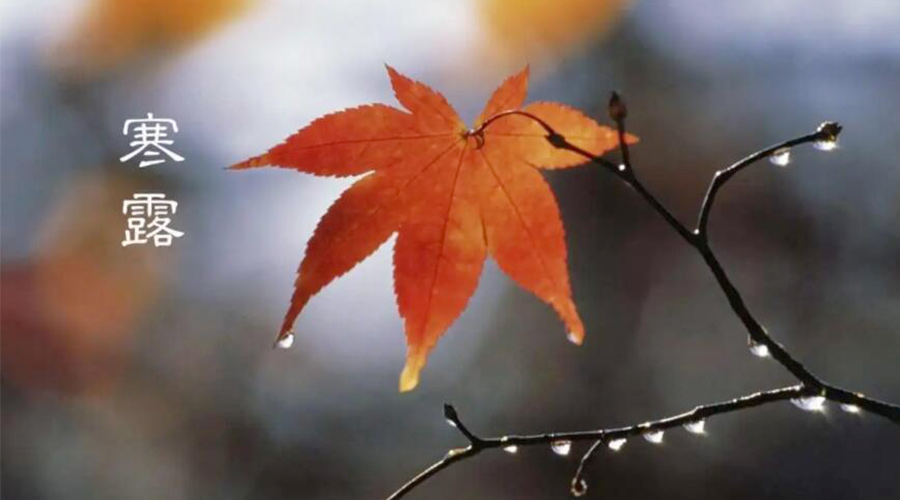 寒露時節(jié)！金環(huán)電器提醒大家要注意的事項