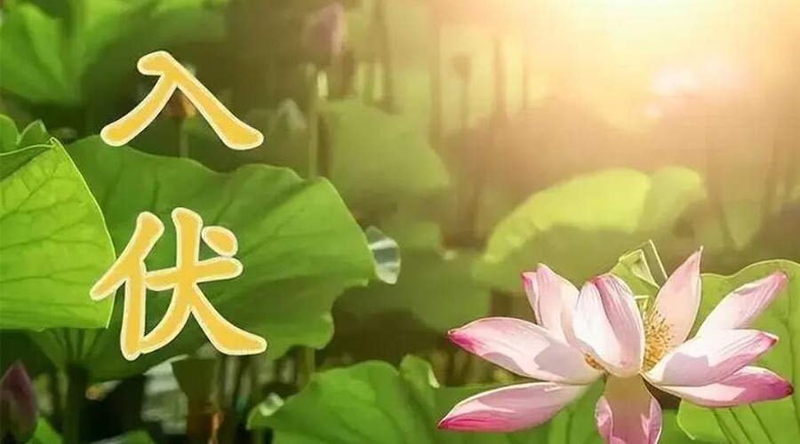 入伏天來(lái)襲！金環(huán)電器提醒大家要注意的事項(xiàng)