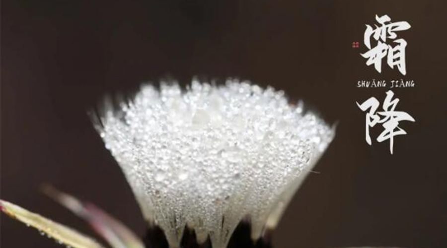 霜降時(shí)節(jié)！金環(huán)電器提醒大家要注意的事項(xiàng)