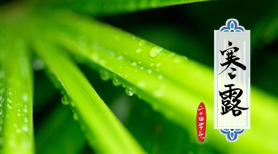 寒露時節(jié)到！金環(huán)電器提醒這些干衣事項要注意