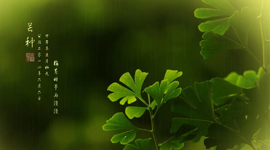 芒種時節(jié)！金環(huán)電器提醒大家的注意事項