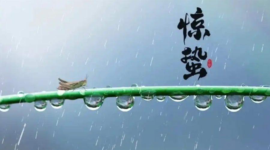 驚蟄時(shí)節(jié)！金環(huán)電器提醒大家干衣要注意這些