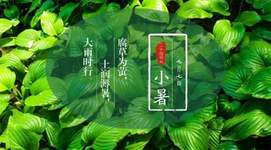 小暑時節(jié)來到！金環(huán)電器提醒大家要注意的事項