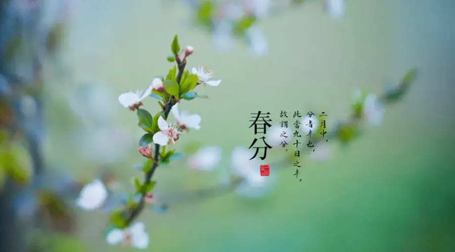 春分雨水多易生菌！金環(huán)電器提醒你衣物要注意處理