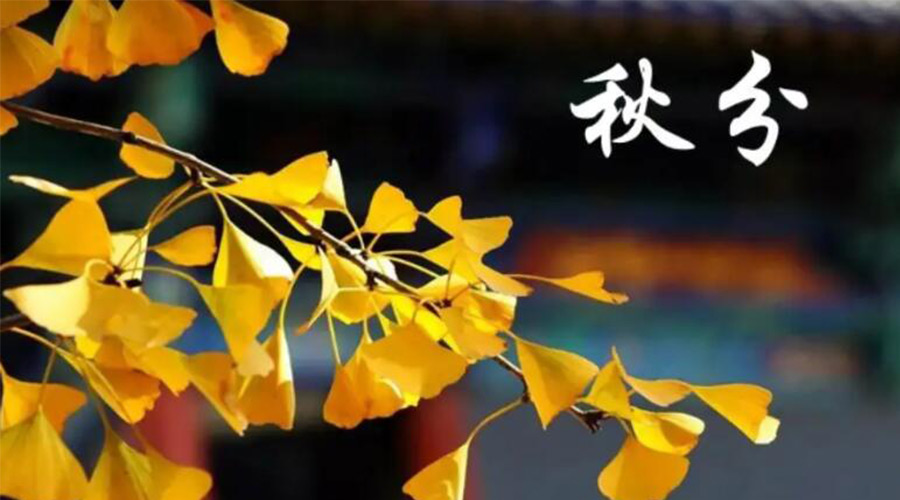 秋分時(shí)節(jié)！金環(huán)電器提醒大家要注意的事項(xiàng)