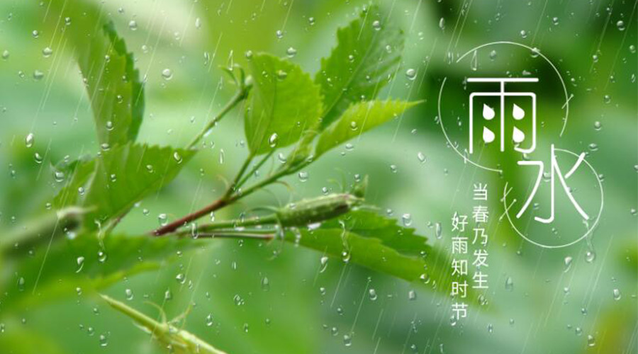 雨水時(shí)節(jié)！金環(huán)電器提醒大家要注意的事項(xiàng)